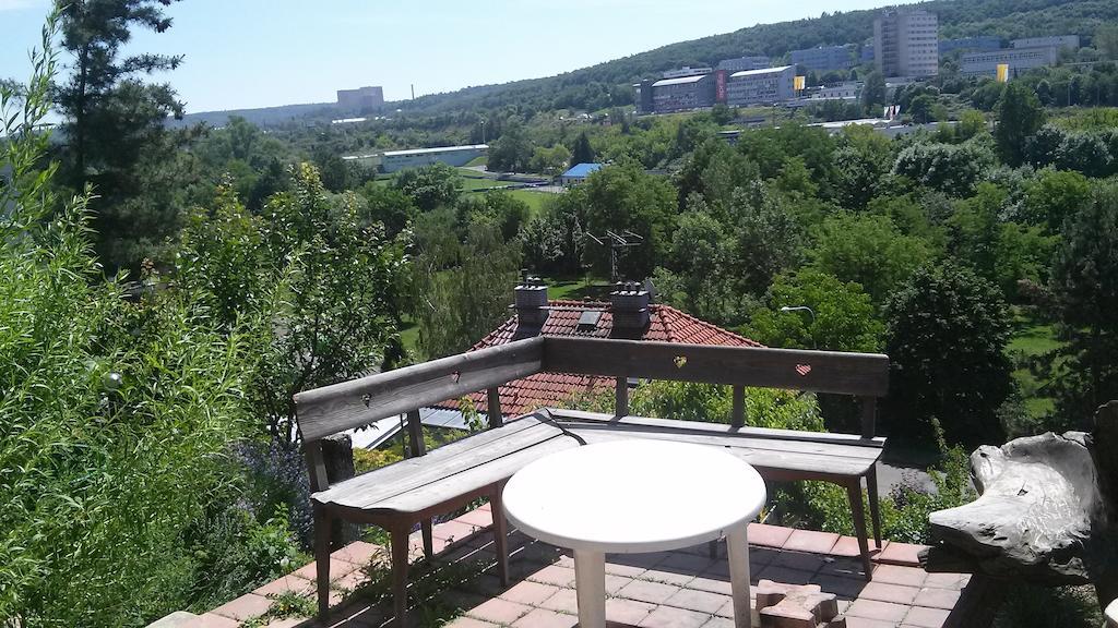 Branik Garden