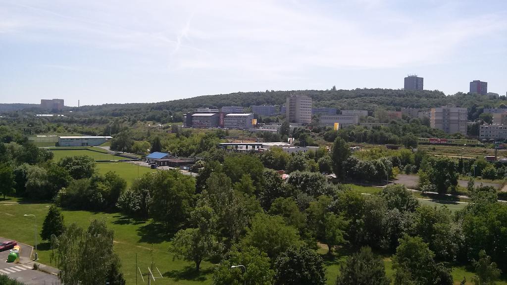 Branik Garden